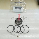 AYIDO CHECK VALVE KIT 2901050301